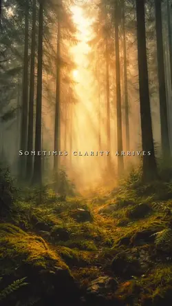 Morning Mist 