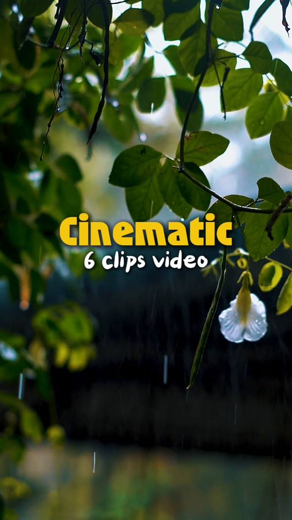 6 clips vidéo