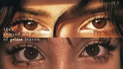 your eyes