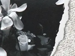 𝗹𝗈𝗏𝖾