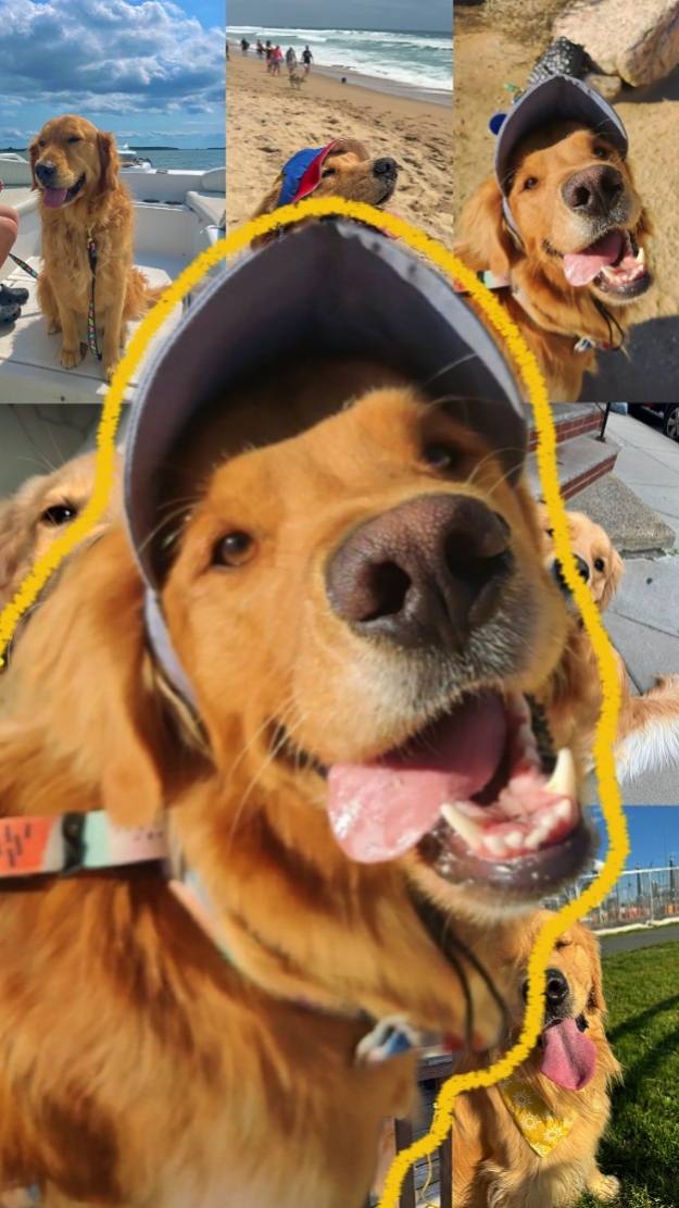 my dog my bestie