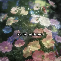 kỷ niệm nhiều ảnh