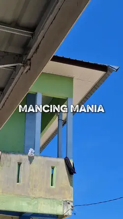 Mancing Mania