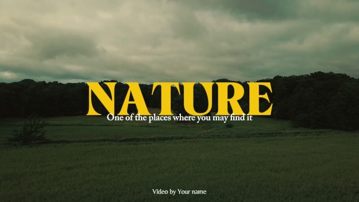 Nature Therapy