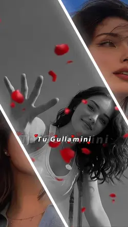Kurmanci here gule🌹