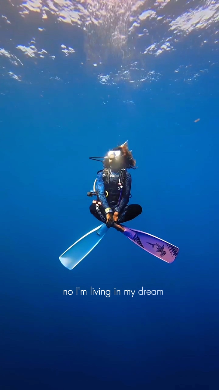 PLONGÉE SOUS-MARINE