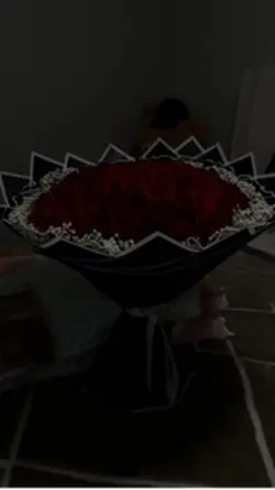 100 roses