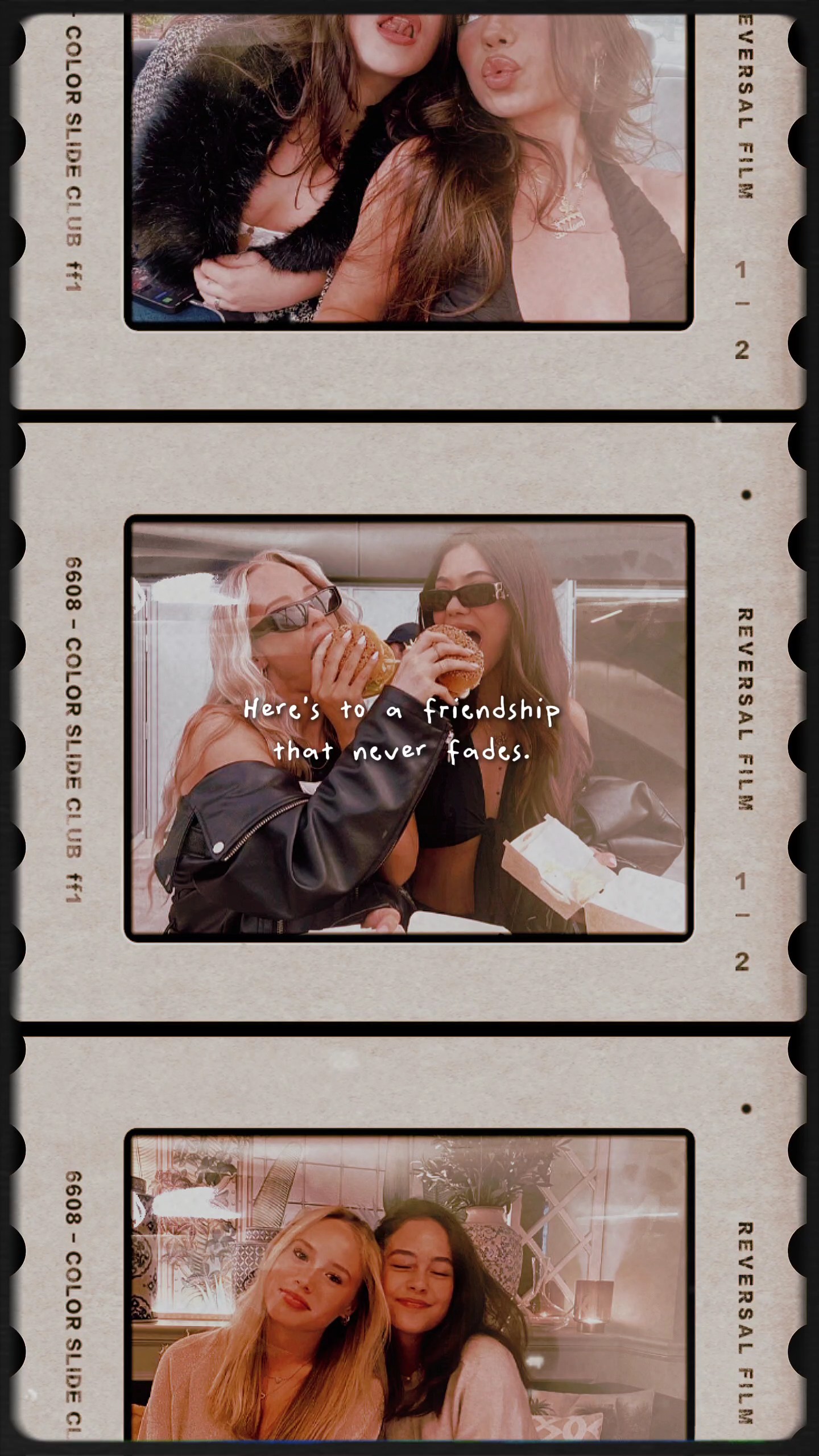 Friendship Scroll 