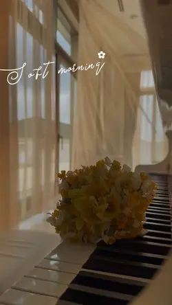 ✨Soft morning✨