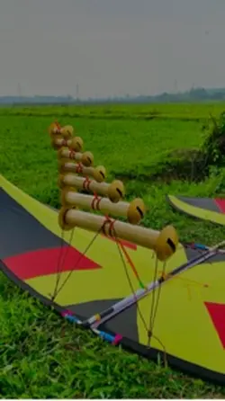 diều sáo 2 ảnh