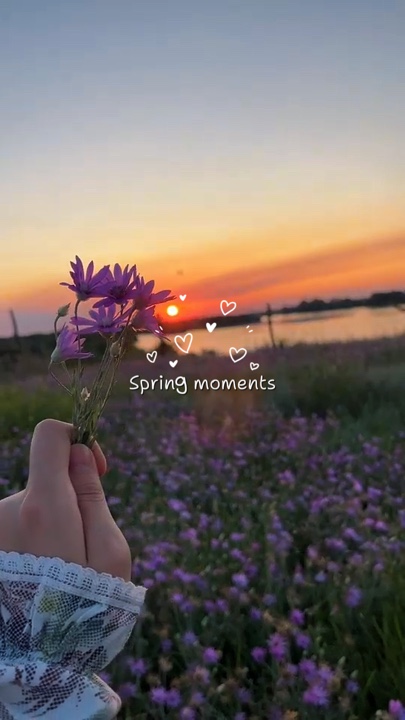 SPRING 4 Klammern