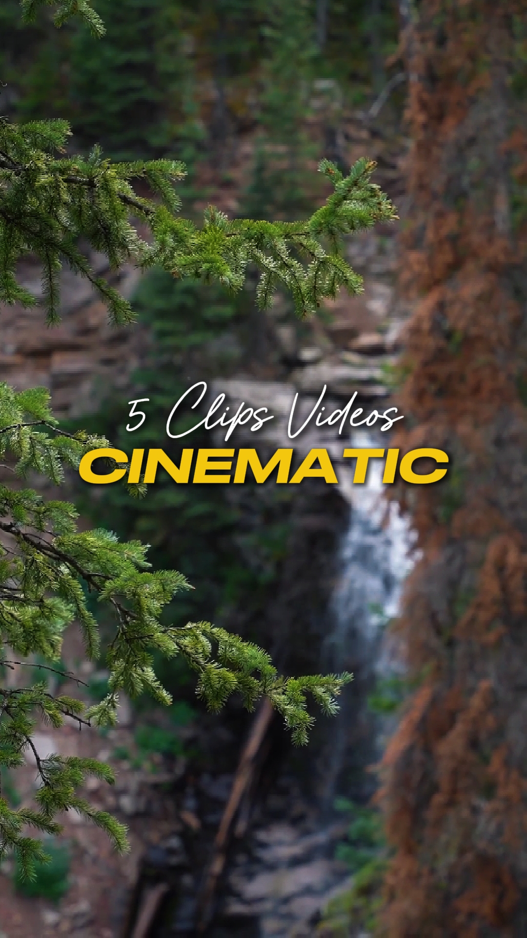 Cinematic 5 Videos