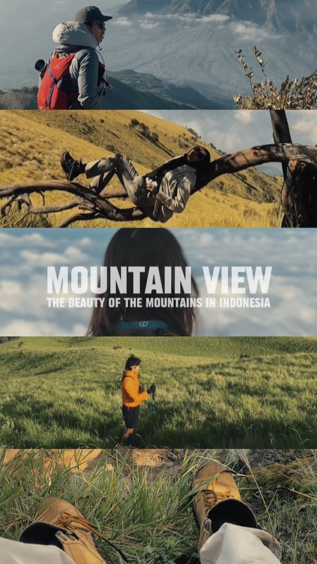 Vista a la montaña _