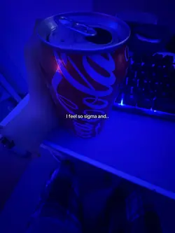 🤍