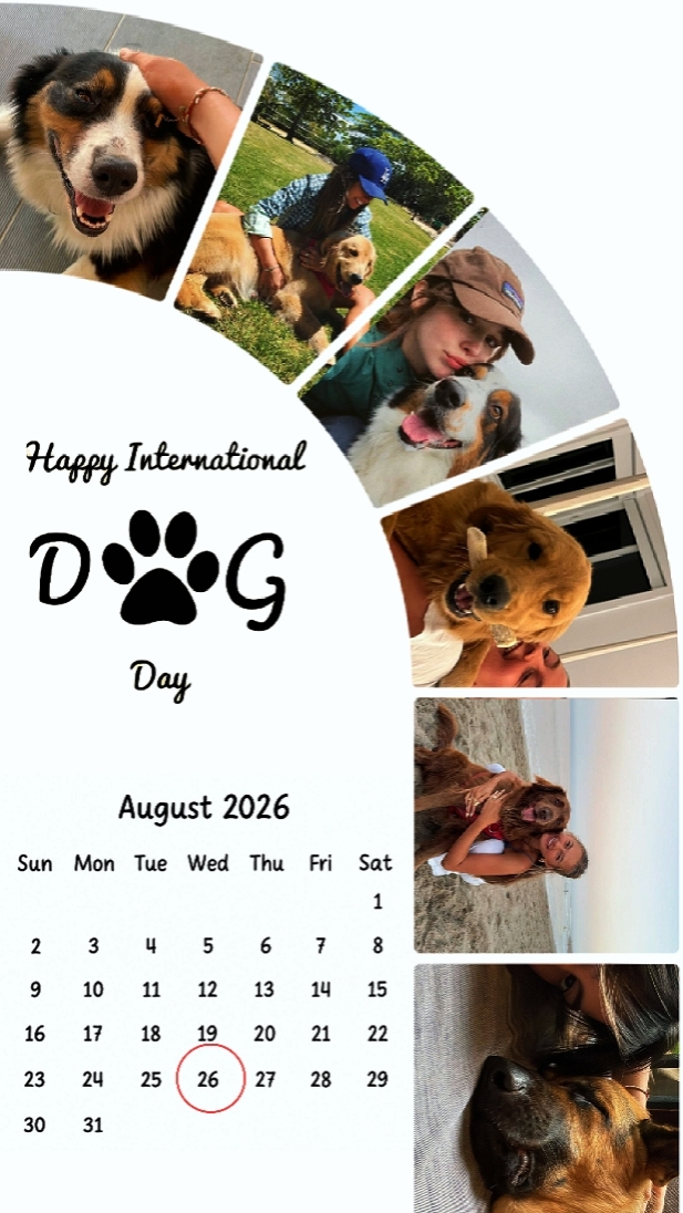 DIA DO CACHORRO