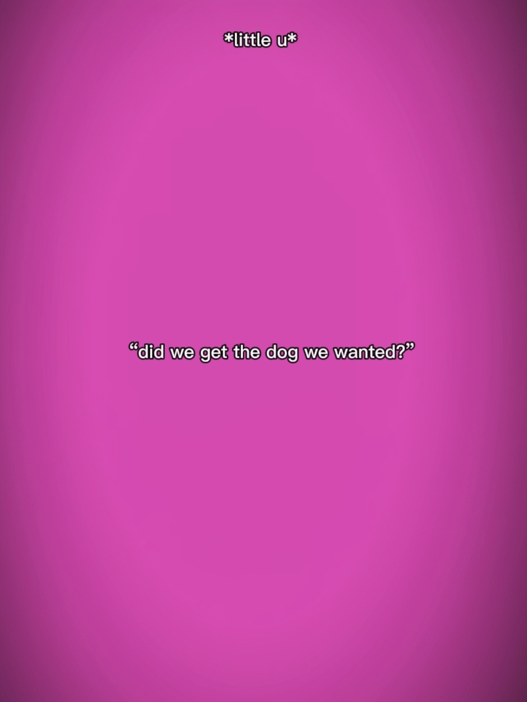 The dog we wanted..