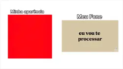segue o perfil 