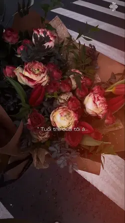 tuổi trẻ