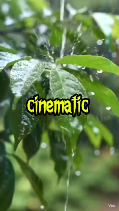 8 clips cinematográficos 