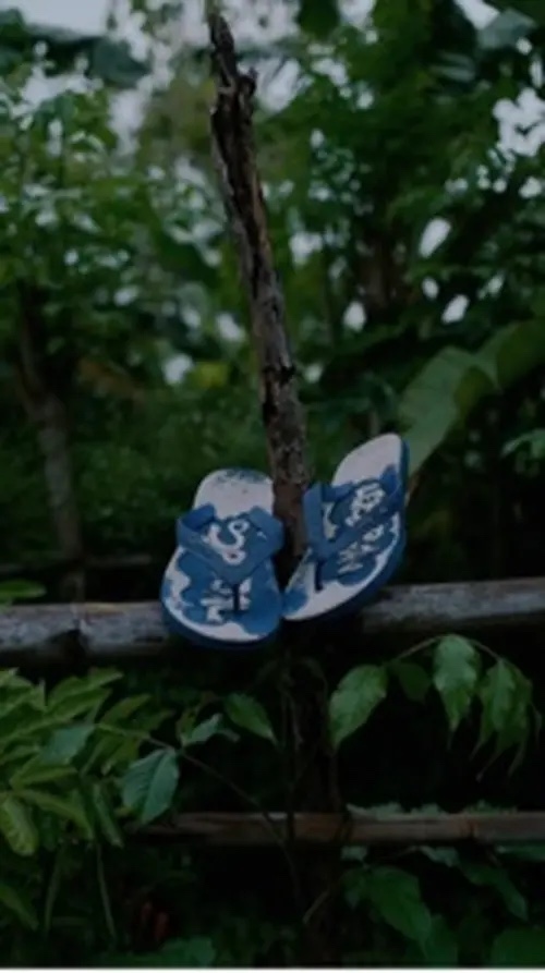 Slippers Aesthetic