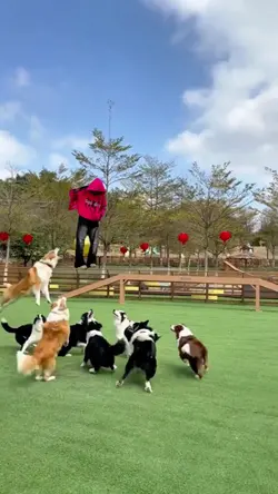 viral video