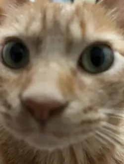リズムにあわせて