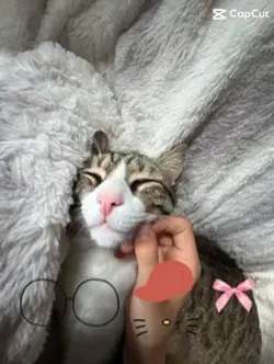 Décore le