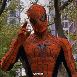 SPIDER MAN