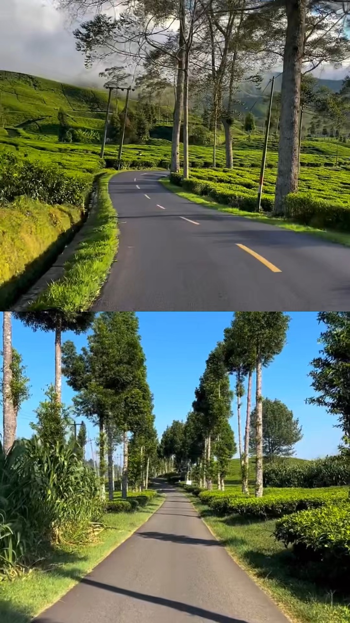 road trip kolase