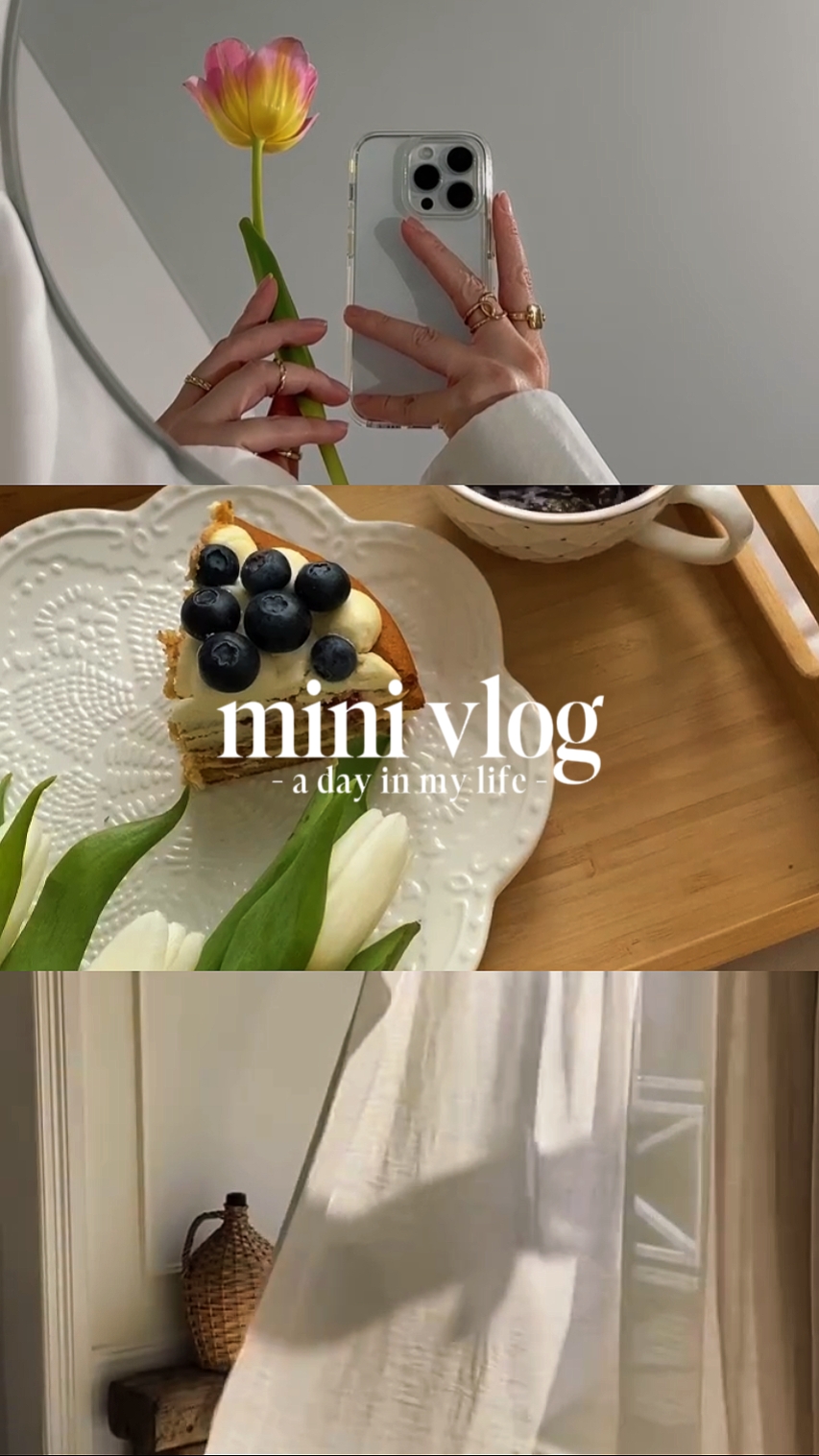 mini vlog
