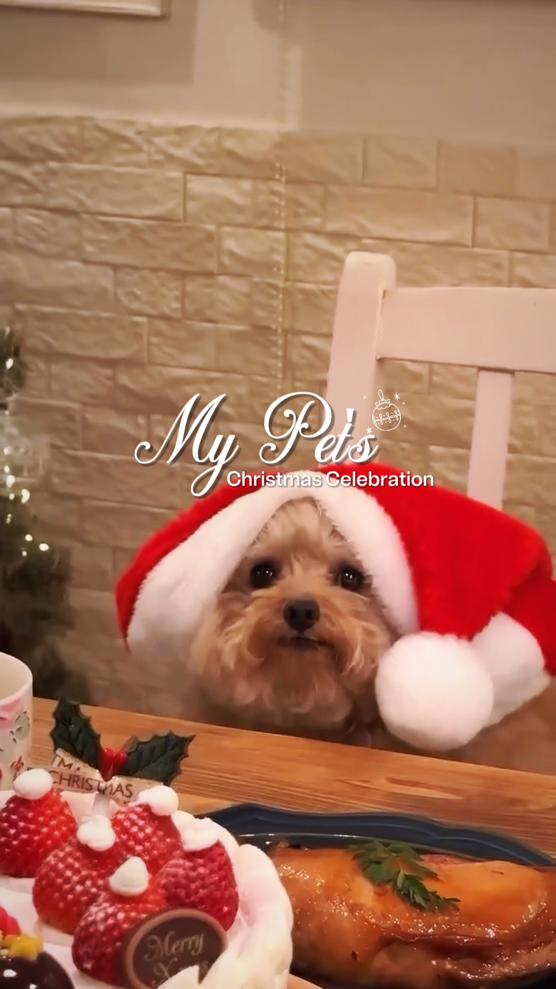 NATAL DO MEU ANIMAL DE ESTIMAÇÃO
