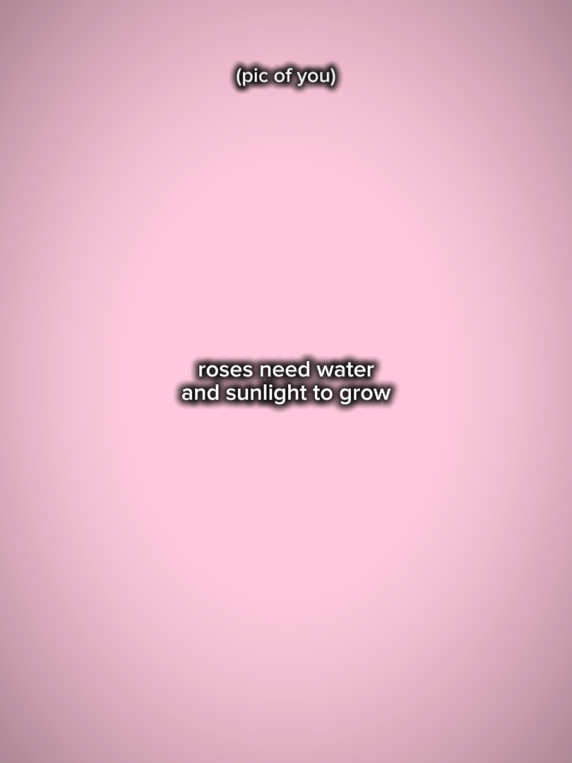 les roses ont besoin d'eau