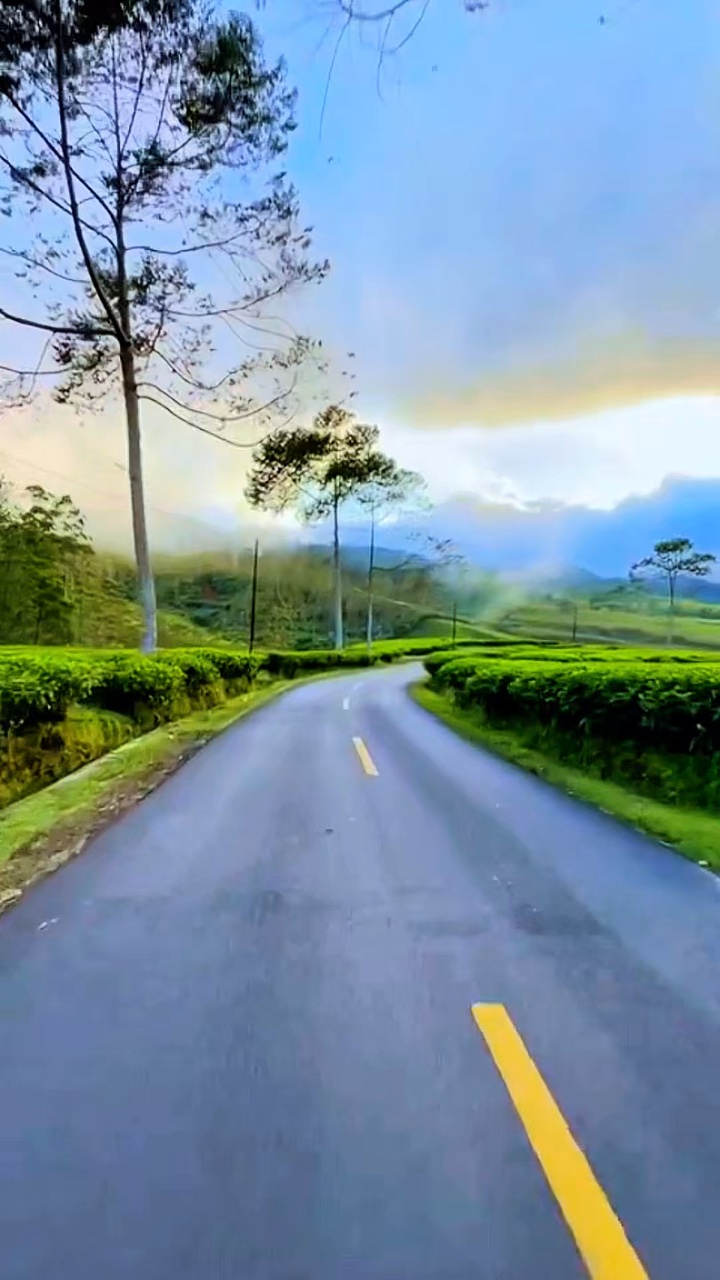 5 klip video jalan