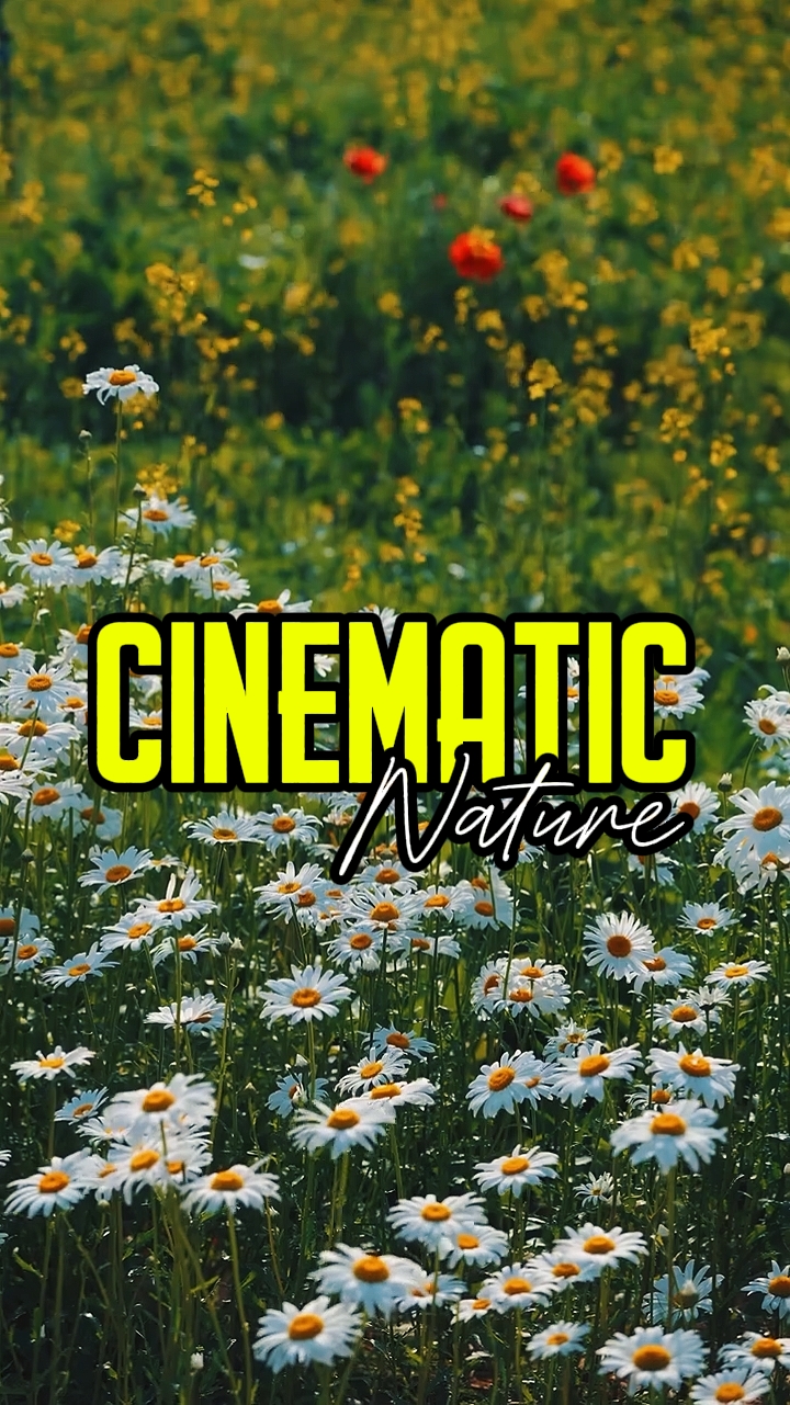 CINEMATIC