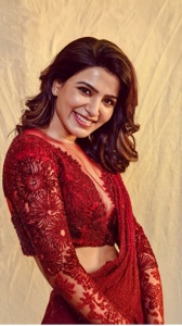 Traditional saree