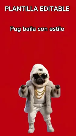 Bailando con estilo 
