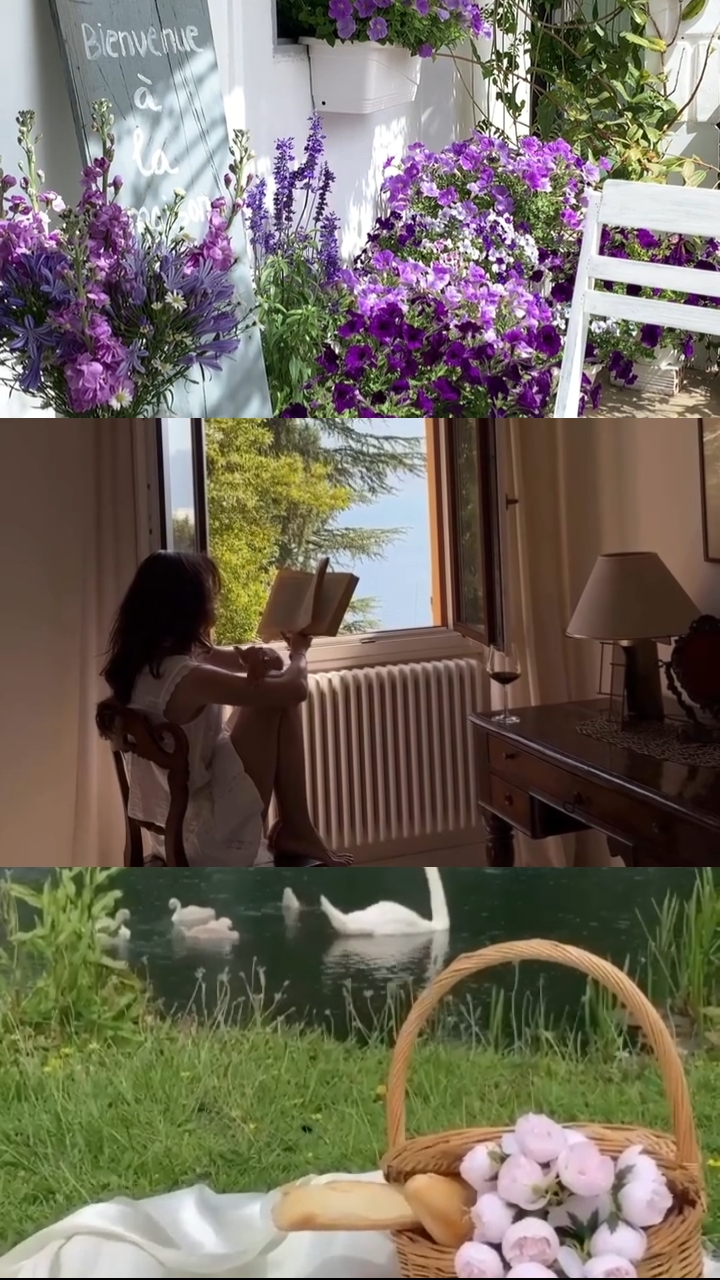 3 grid video