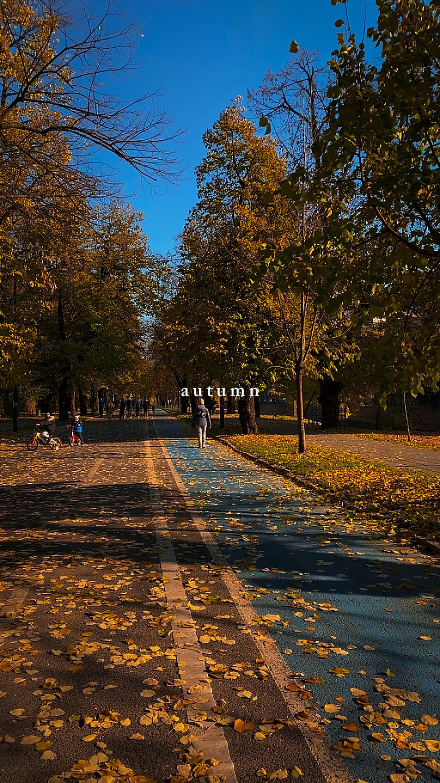 Autumn