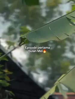 STORY KATA