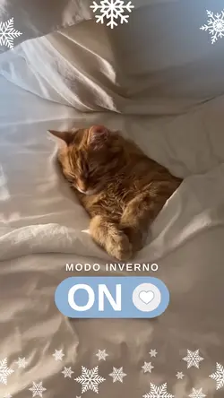 Modo Inverno