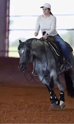 Reining horse