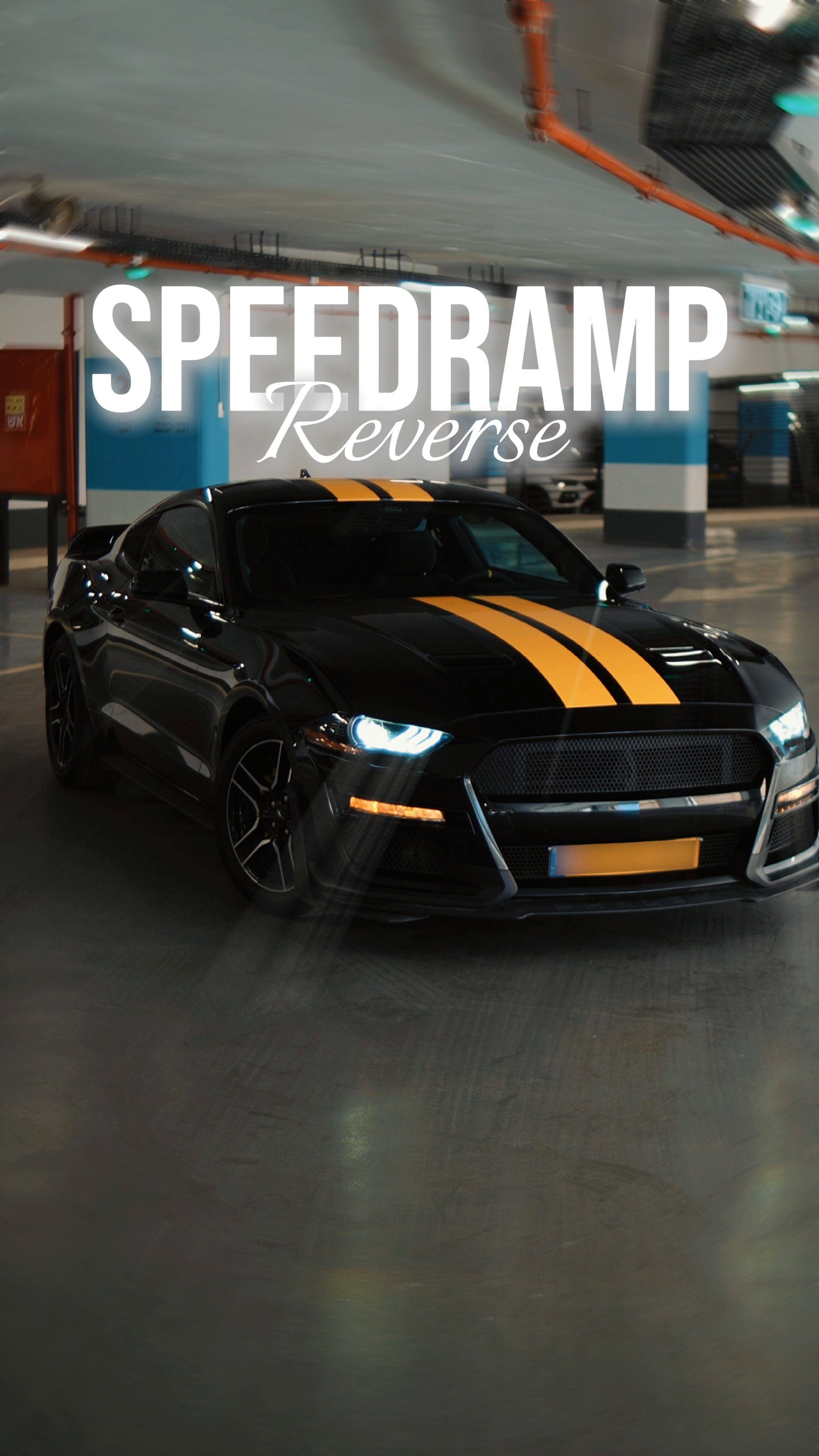 Speedramp Reverse