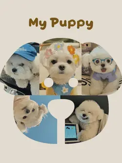 My Puppy 🐶