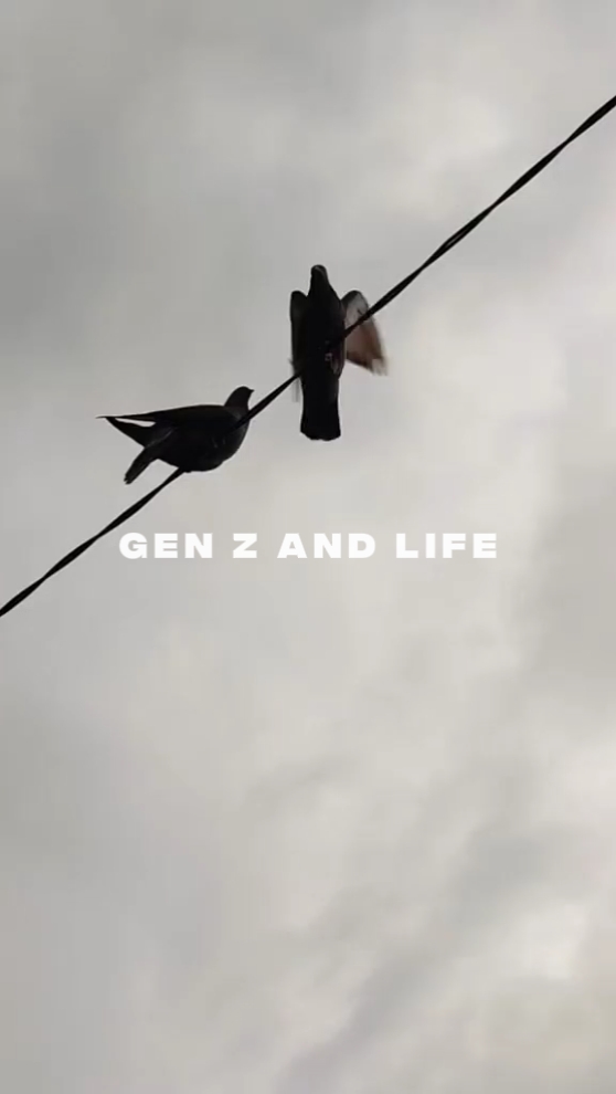 GEN Z AND LIFE