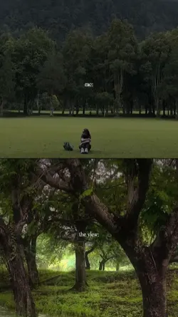 the nature views