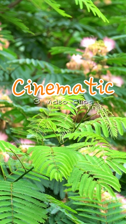 Video de Cinematic 3
