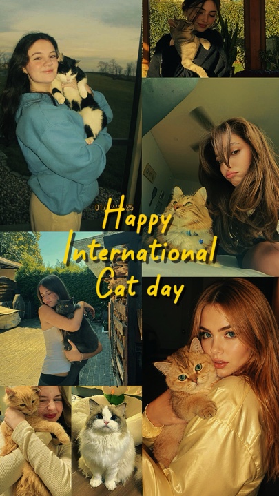 Happy cat day