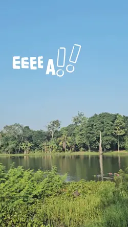 EEEEAAAA !!