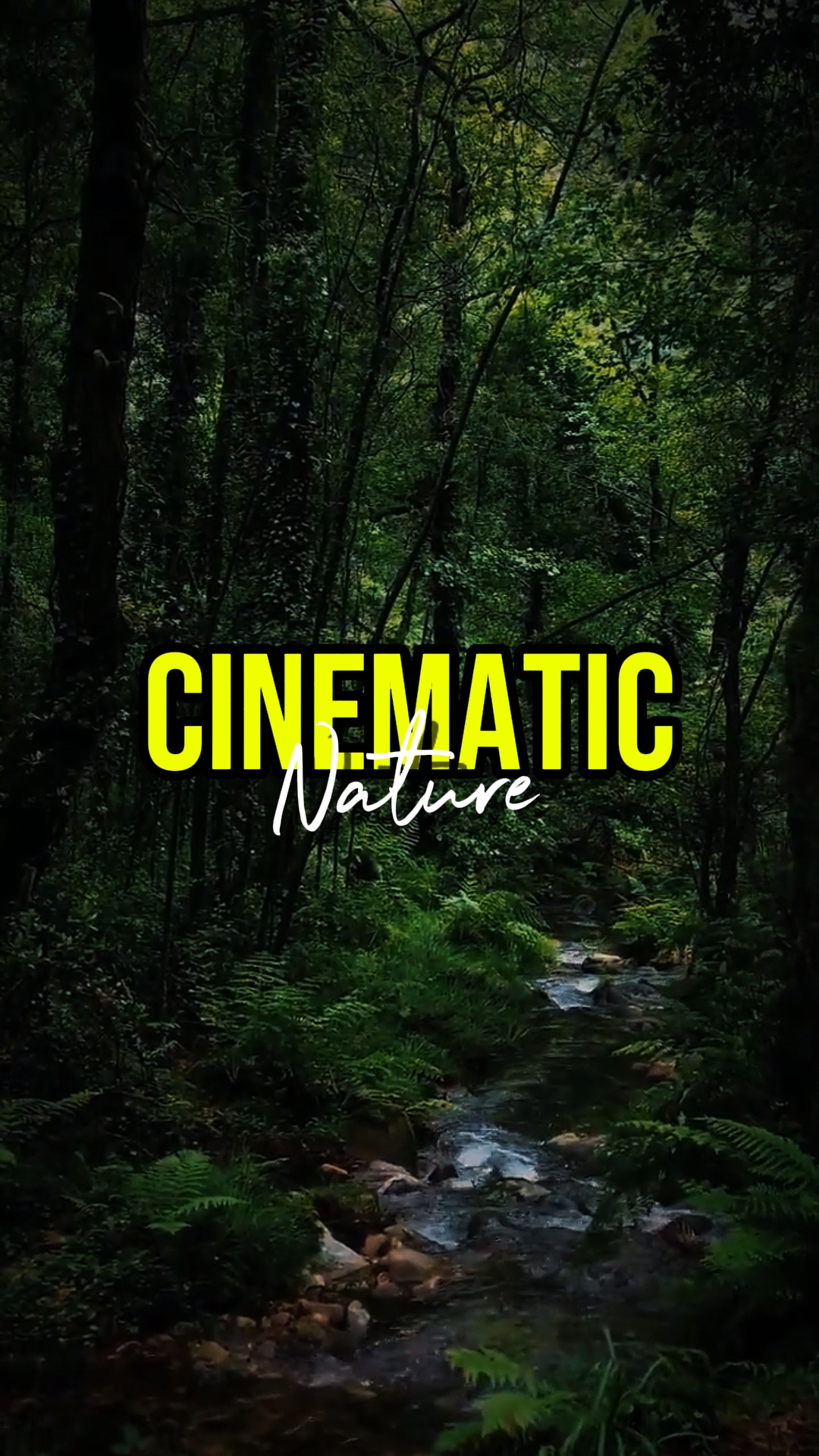 CINEMATIC NATURE