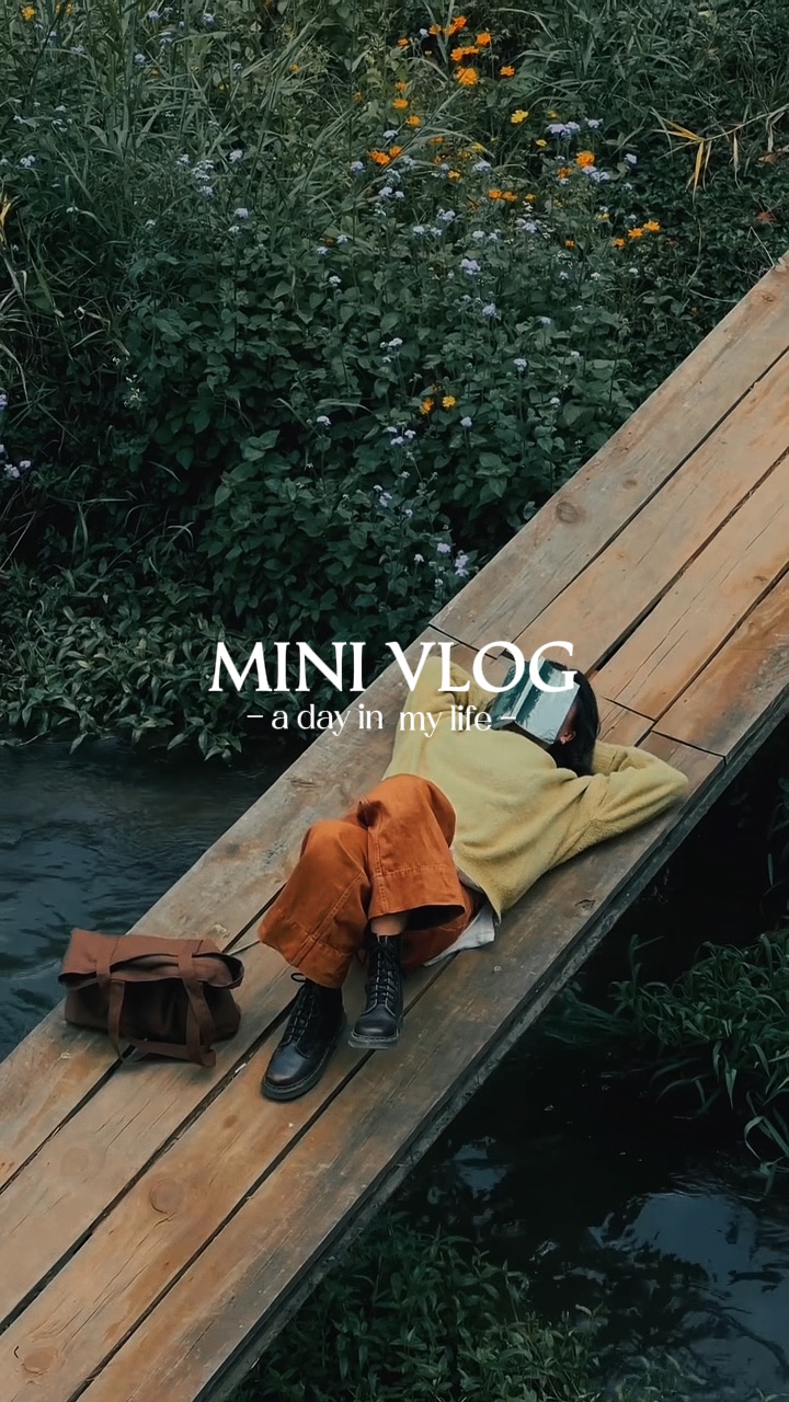 Mini vlog